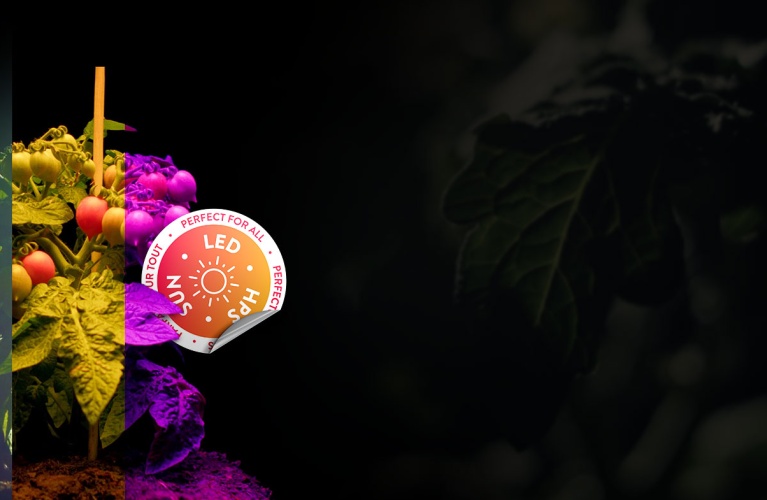 Nutrientes CANNA: Perfectos para todas las fuentes de luz, incluyendo LED, HPS y luz solar