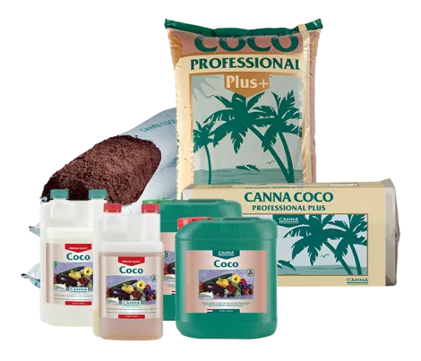 CANNA COCO