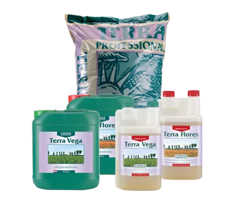 CANNA TERRA